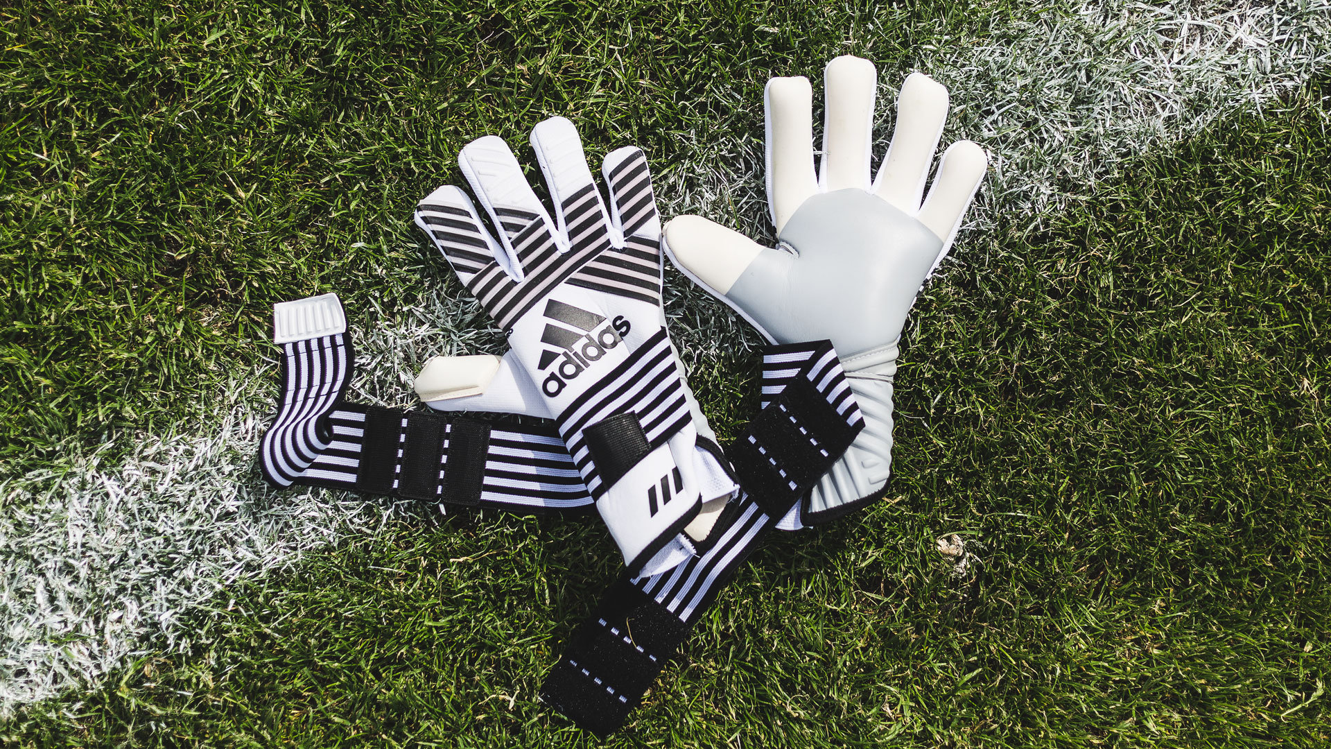 adidas ace transition pro goalkeeper gloves