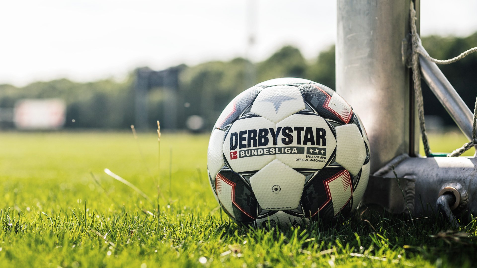 Derbystar Trainingsleibchen The Ball 