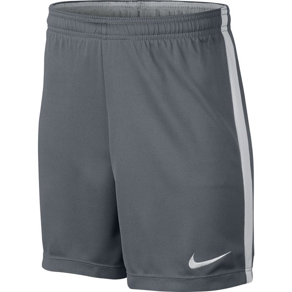 nike academy shorts junior grey