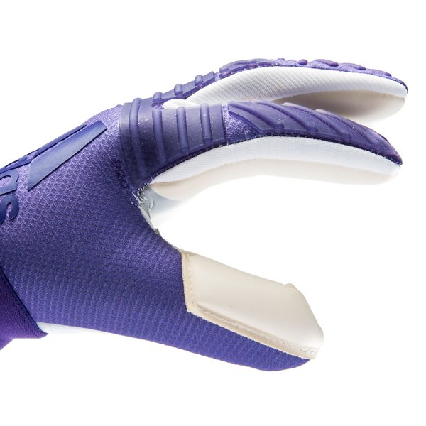 arm Sweat tsunami adidas Goalkeeper Gloves ACE Trans Pro Next Gen - Collegiate Purple LIMITED  EDITION | www.unisportstore.com