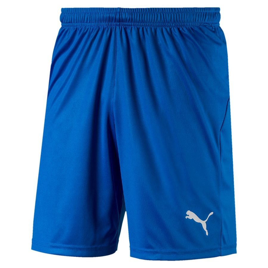 blue puma shorts