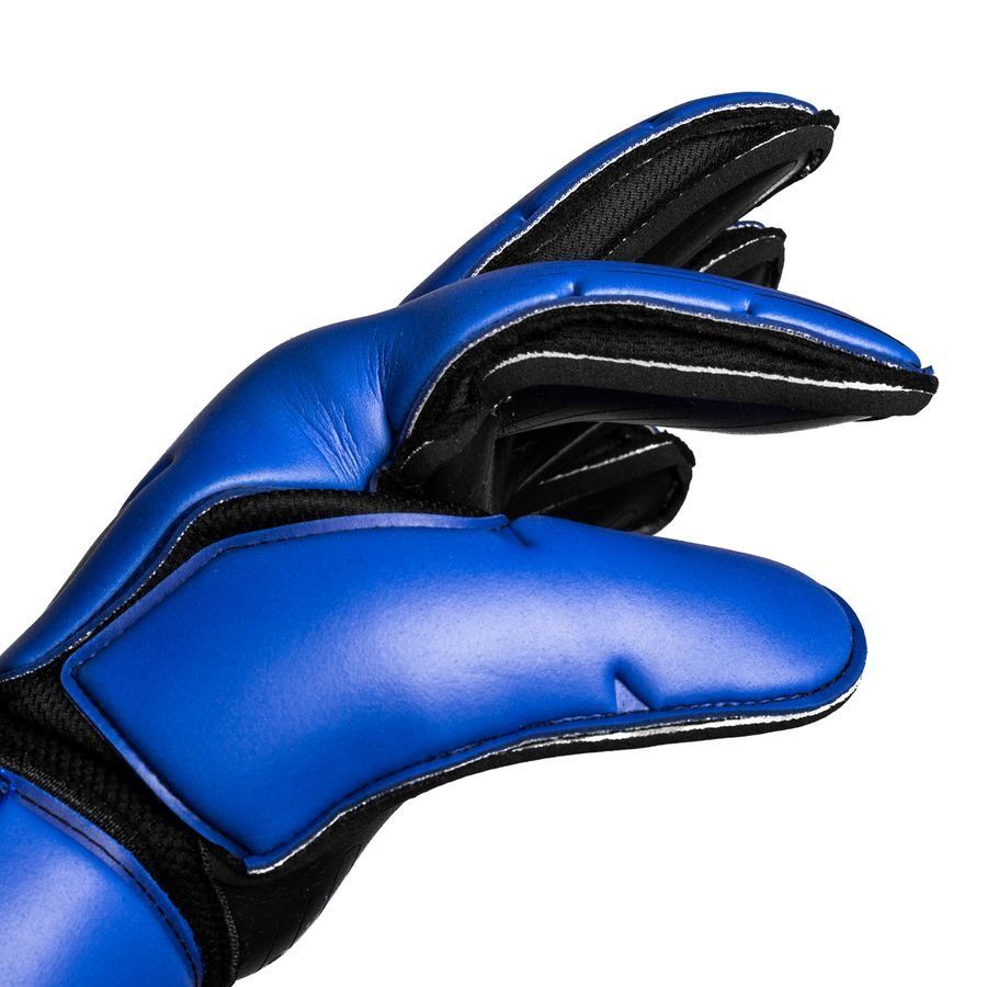 Goalkeeper's gloves Nike Premier SGT RS Promo - Top4Running.com