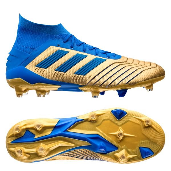 adidas Predator 19.1 FG/AG Input Code Gold Metallic/Football Blue/Footwear | www.unisportstore.com