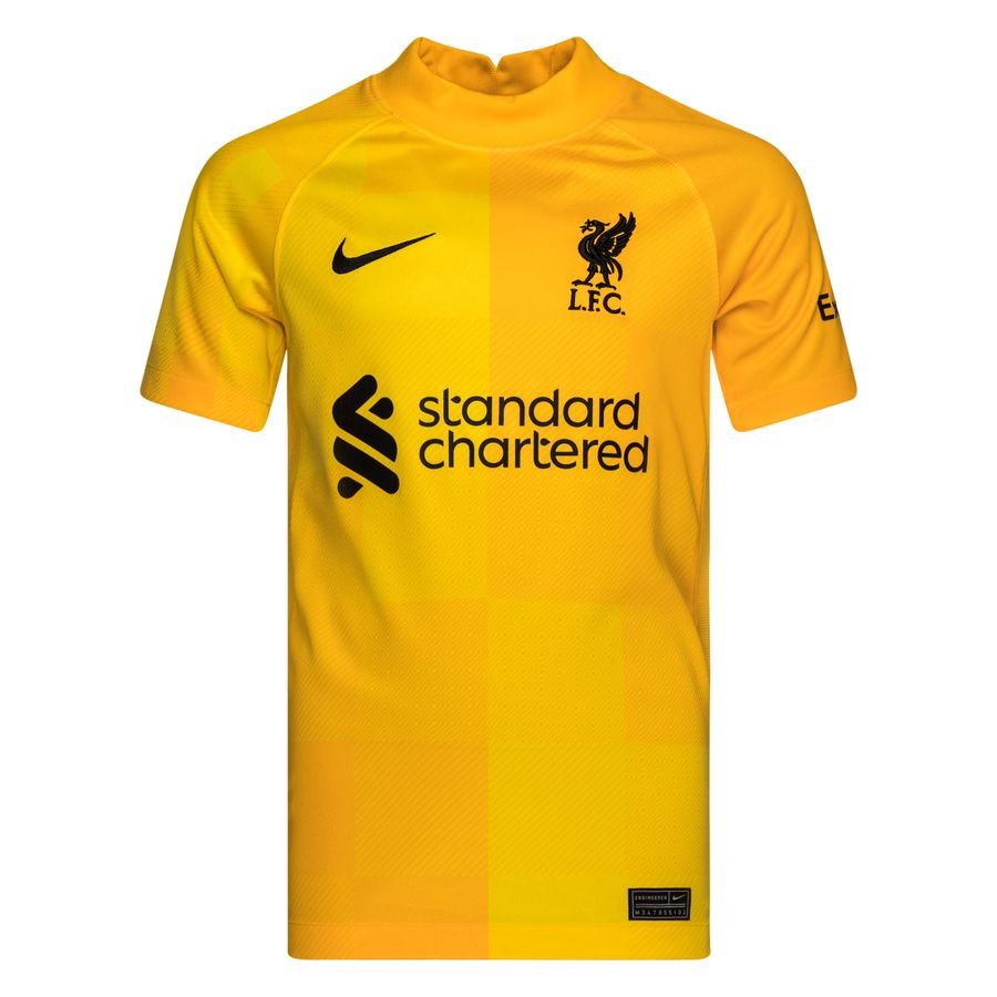 Nike Kids Liverpool FC 2021/22 Stadium Goalkeeper Voetbalshirt voor kids Bruin online kopen