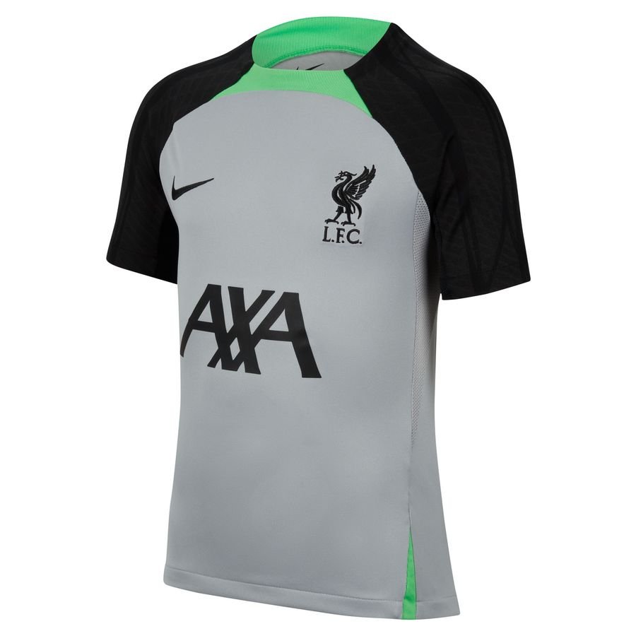 Liverpool Trænings T-Shirt Dri-FIT Strike - Grå/Grøn/Sort Børn thumbnail