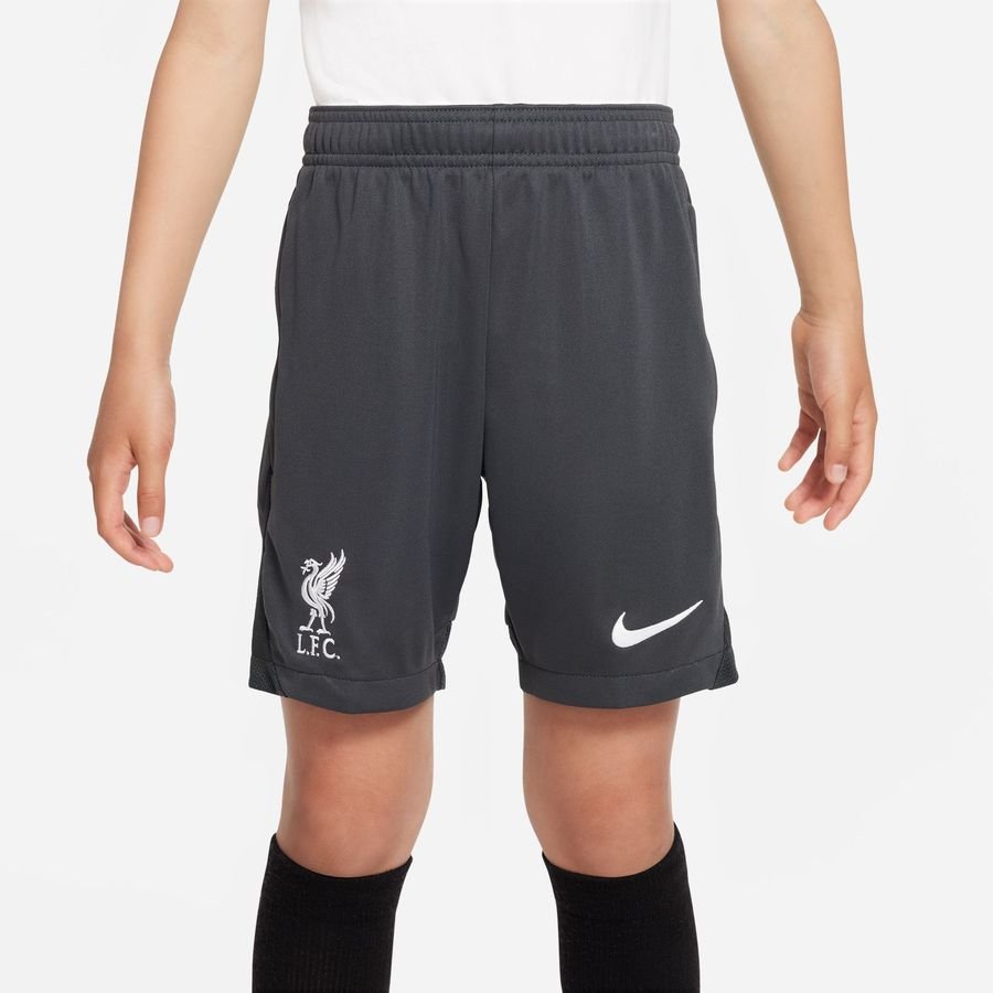 Nike Liverpool Treningsshorts Dri-FIT Academy Pro - Grå/Hvit Barn unisex