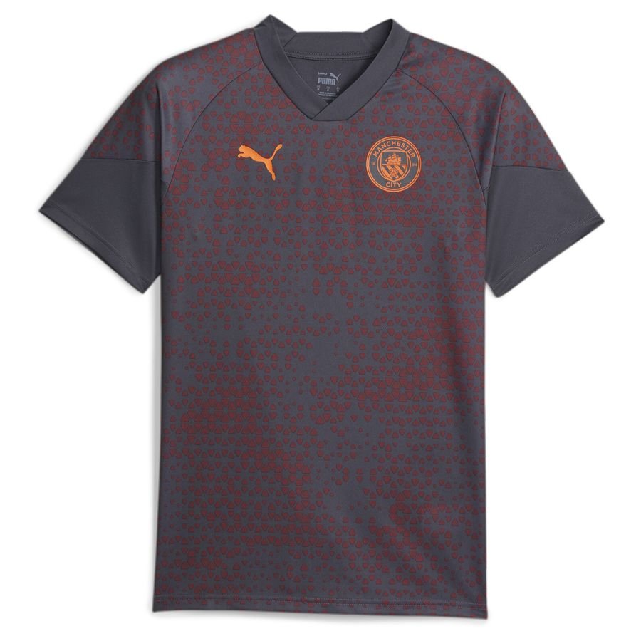 Manchester City Tränings T-Shirt - Grå/Orange