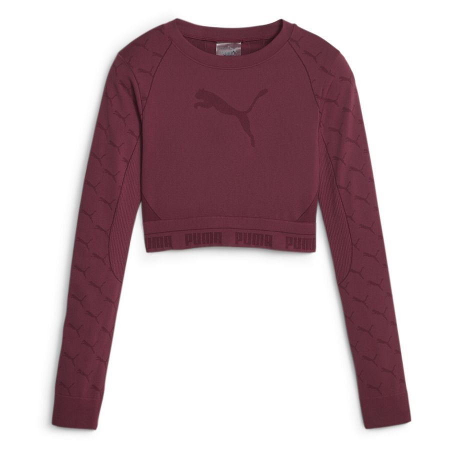 Puma EVOKNIT Longsleeve Tee Women thumbnail
