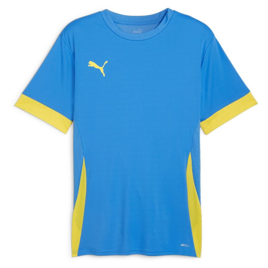 PUMA Trainingsshirt teamGOAL - Blauw/Geel