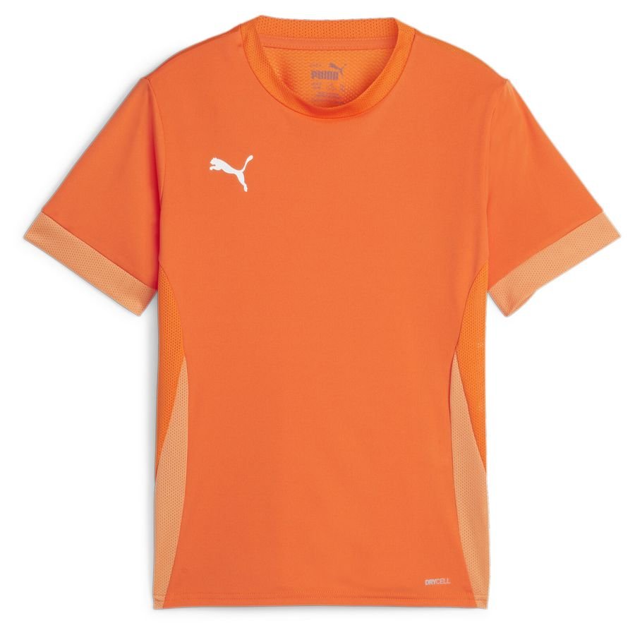 PUMA Trænings T-Shirt teamGOAL - Orange/Hvid Børn