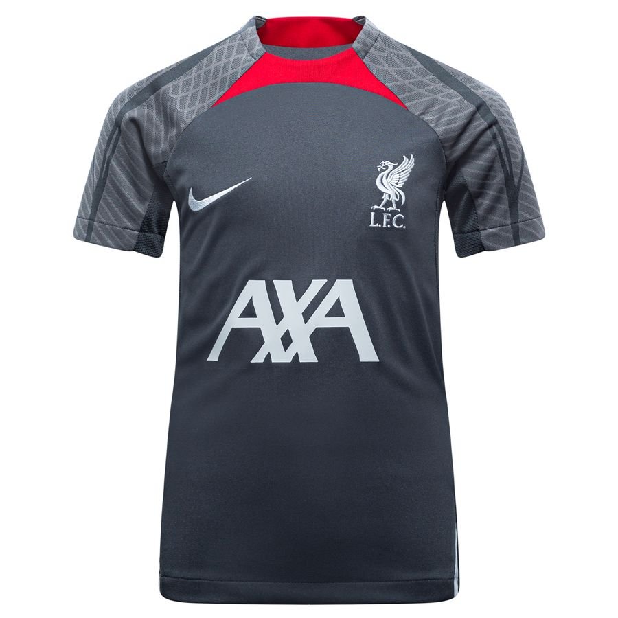 Liverpool Tränings T-Shirt Dri-FIT Strike - Grå/Grå/Röd Barn