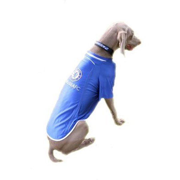 chelsea dog shirt